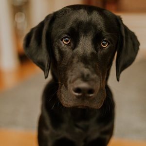 open! i never decline. only counter/accept